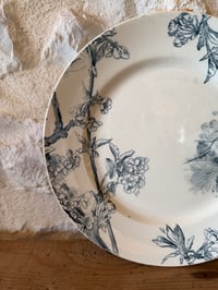 Image 5 of Assiette sur piédouche ancienne - Creil et Montereau,  modèle Cerisier - Art de la table