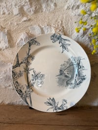 Image 7 of Assiette sur piédouche ancienne - Creil et Montereau,  modèle Cerisier - Art de la table