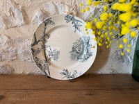 Image 1 of Assiette sur piédouche ancienne - Creil et Montereau,  modèle Cerisier - Art de la table