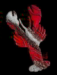 Image 1 of Maine Squeeze