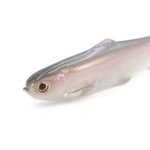 Image of Tyrant 8 ( DIAMOND ZEALOT )