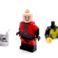 Image 3 of Particle Manipulator & Flying Fashionista torso