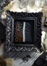 Image 1 of Snake Spine and Floral Wall Frame - Red