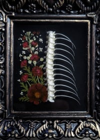 Image 2 of Snake Spine and Floral Wall Frame - Red