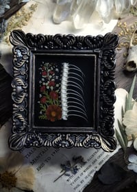 Image 5 of Snake Spine and Floral Wall Frame - Red