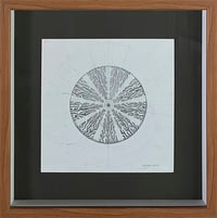 Micelio 1 / Mycelium 1