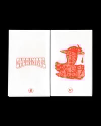 Image 4 of Country Classics Vol. II