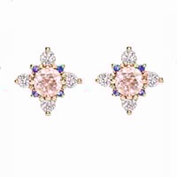 Image 1 of Winter Forest Morganite Earring