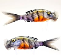 Image 2 of #SwampB8N Greenie Jitter ( Gill )