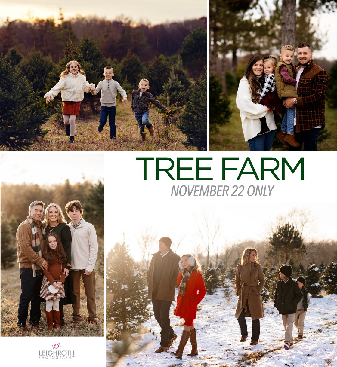 Image of TREE FARM MINIS