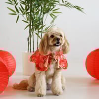 Image 1 of XING FU CLOAK