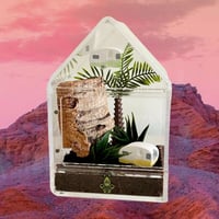 Image 5 of Space Cowgirls pt 2 "Road Trip"