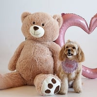 Image 5 of EMBROIDERED HEART BIB DUSTY PINK