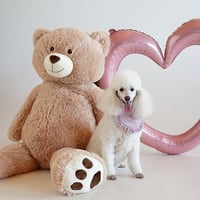 Image 3 of EMBROIDERED HEART BIB DUSTY PINK