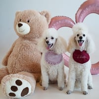 Image 1 of EMBROIDERED HEART BIB DUSTY PINK