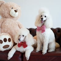 CROCHET BOW - PINK METALLIC