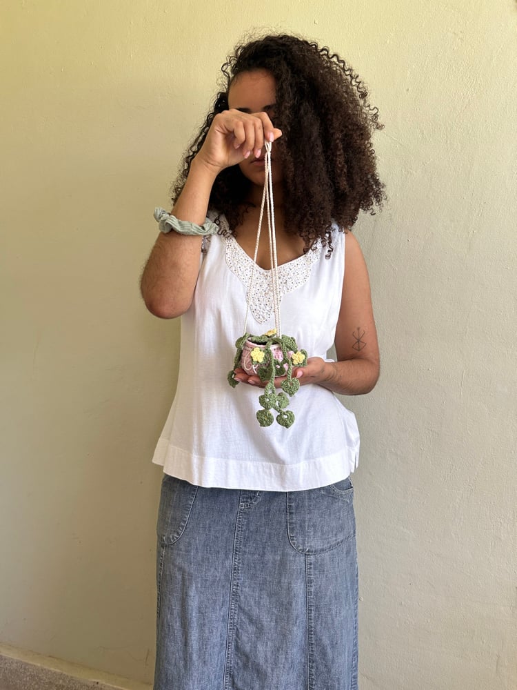 Image of ✧Hanging Primrose Plant