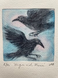 Image 1 of Hugin and Munin no 2