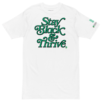 Image 2 of Stay Black & Thrive - BDI x FWMJ | Men’s premium heavyweight tee