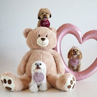 Image 4 of EMBROIDERED HEART BIB DUSTY PINK