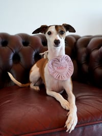 Image 6 of EMBROIDERED HEART BIB DUSTY PINK