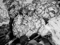 Image 3 of Sweetheart Set ❤️