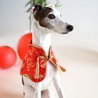 Image 2 of XING FU CLOAK