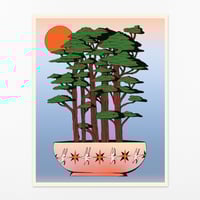 Image 1 of Forest Bowl