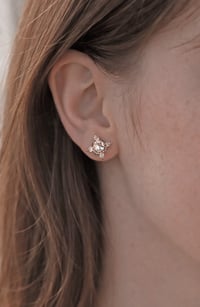 Image 3 of Winter Forest Morganite Earring