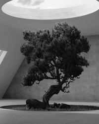 MONOGURUI horror-dress: (GORYO)