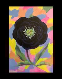 Image 1 of Hellébore - Série noire 