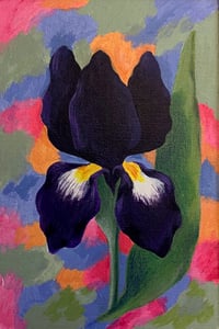 Image 4 of  Iris - Série noire 
