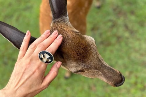 Image of "Surrounds me with.." teddy-bear’s silver ring with photo and rock crystal  · ТOTUM ME.. ·