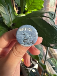 Image 3 of ICE Out Pins