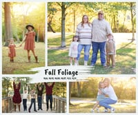 Fall Mini Sessions 2026