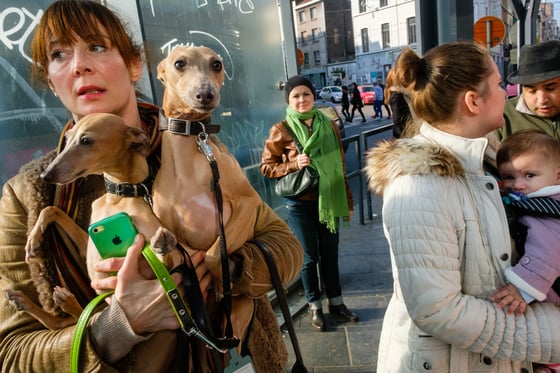 Image of BRUSSELS : One-Day Workshop (May 30th, 2026)