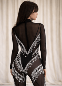 Image 2 of Mesh Panelled Starstruck Catsuit 