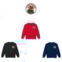 Image 5 of Wrexham AFC Print