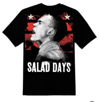 SALAD DAYS  tri-color tee by Brian Lutz
