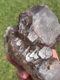 Image 11 of Smoky Quartz & Red Rutile Enhydro Multi Terminated Crystal | Zambia #3052