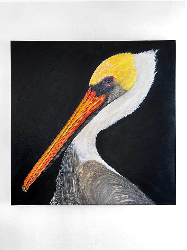 170. Pelican-original painting