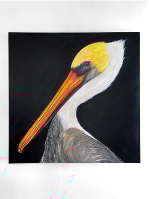 170. Pelican-original painting
