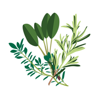 Rustico Infused Olive Oil