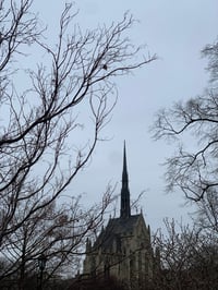 Image 2 of Yule Perfume (Fir Absolute, Scotch Pine, Balsam of Peru)