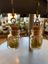 Turkey Tail and Cypress Earrings