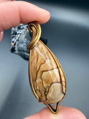 Biggs Picture Jasper, cut by me