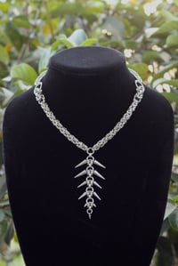 Image 1 of The Spineless Chain