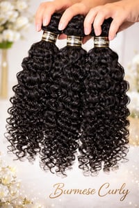 Image 2 of Burmese Curly – Premium Texture