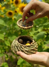 Image 5 of seashell spiral grass and palm frond basket 