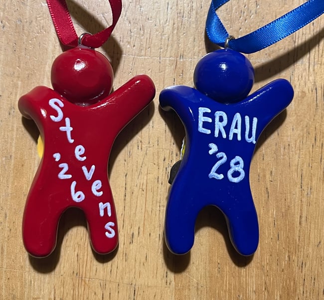  Adopt-a-Ninja Cat Lover Ornament